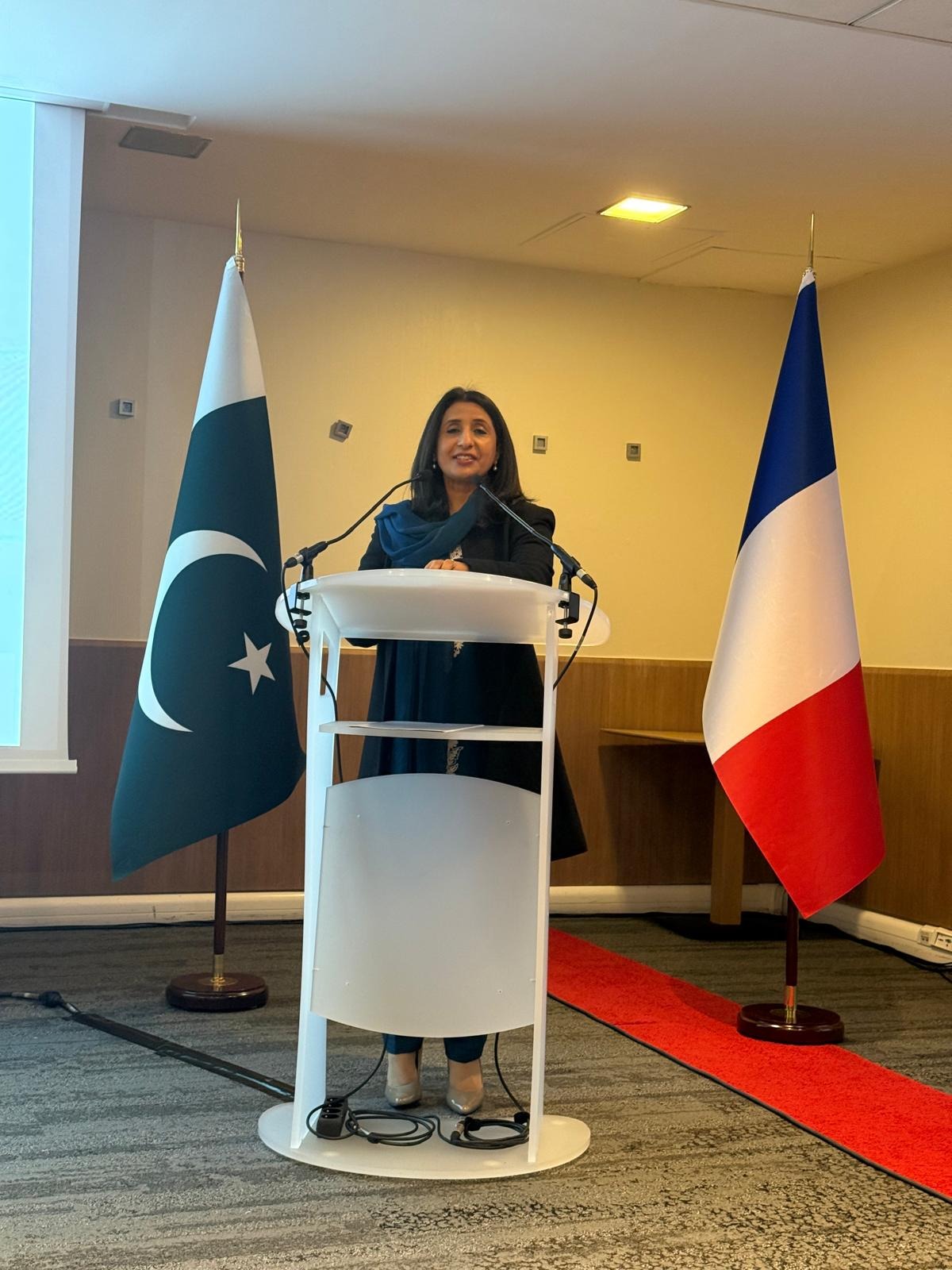 Son Excellence Ambassador of Pakistan in France