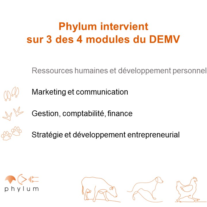 DEMV : modules animés par Phylum