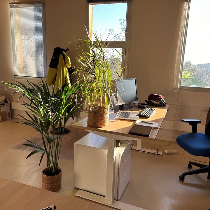 bureaux décorés de plantes