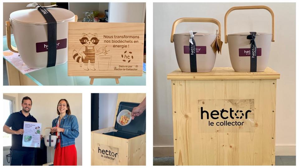 Hector le Collector at Phylum