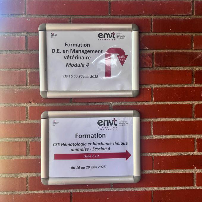 ENVT