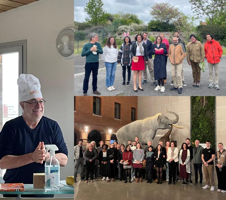 Différents événements à Phylum