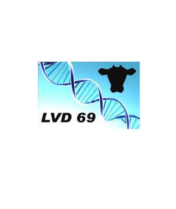 Logo LVD 69 fond blanc