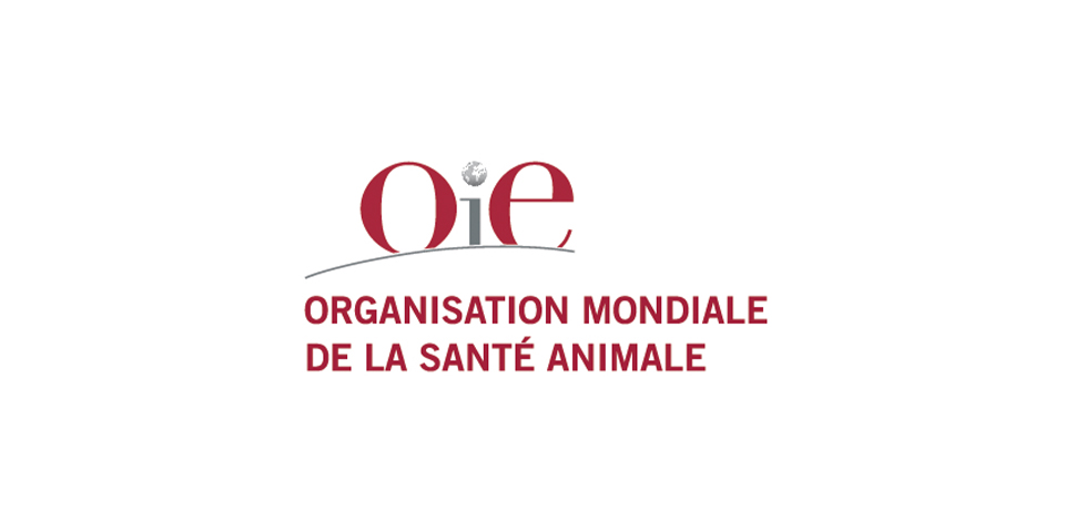 OIE