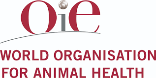 logo OIE