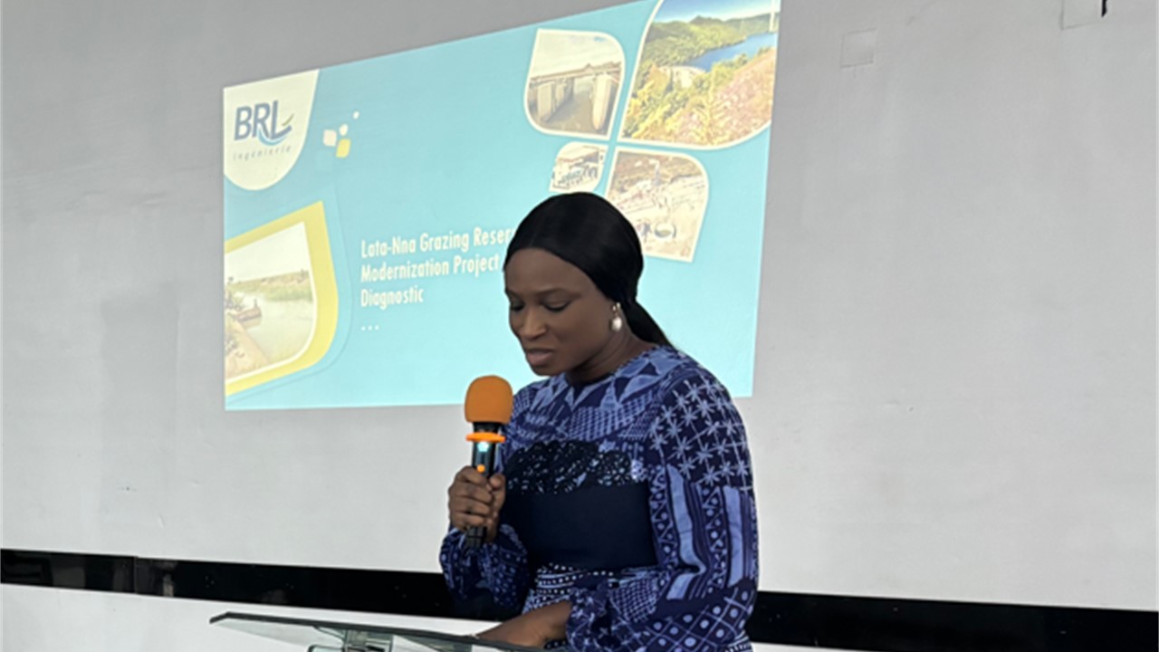 Woman presentation Nigeria