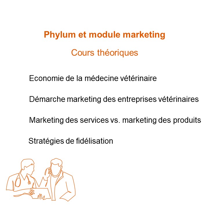 DEMV module MKT : cours théoriques