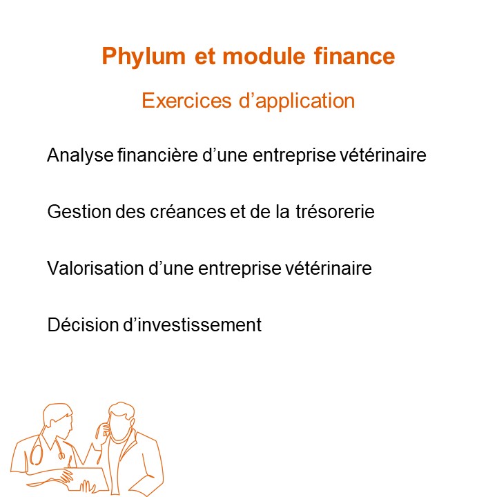 DEMV module finance exercice