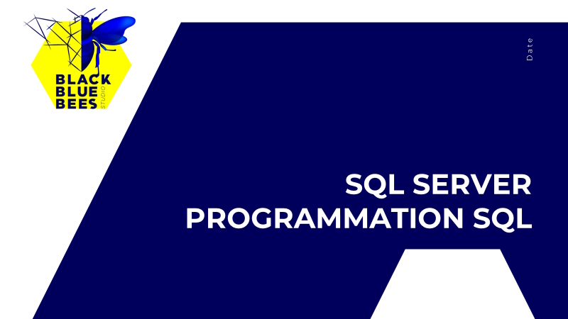 Formation Sandra SQL