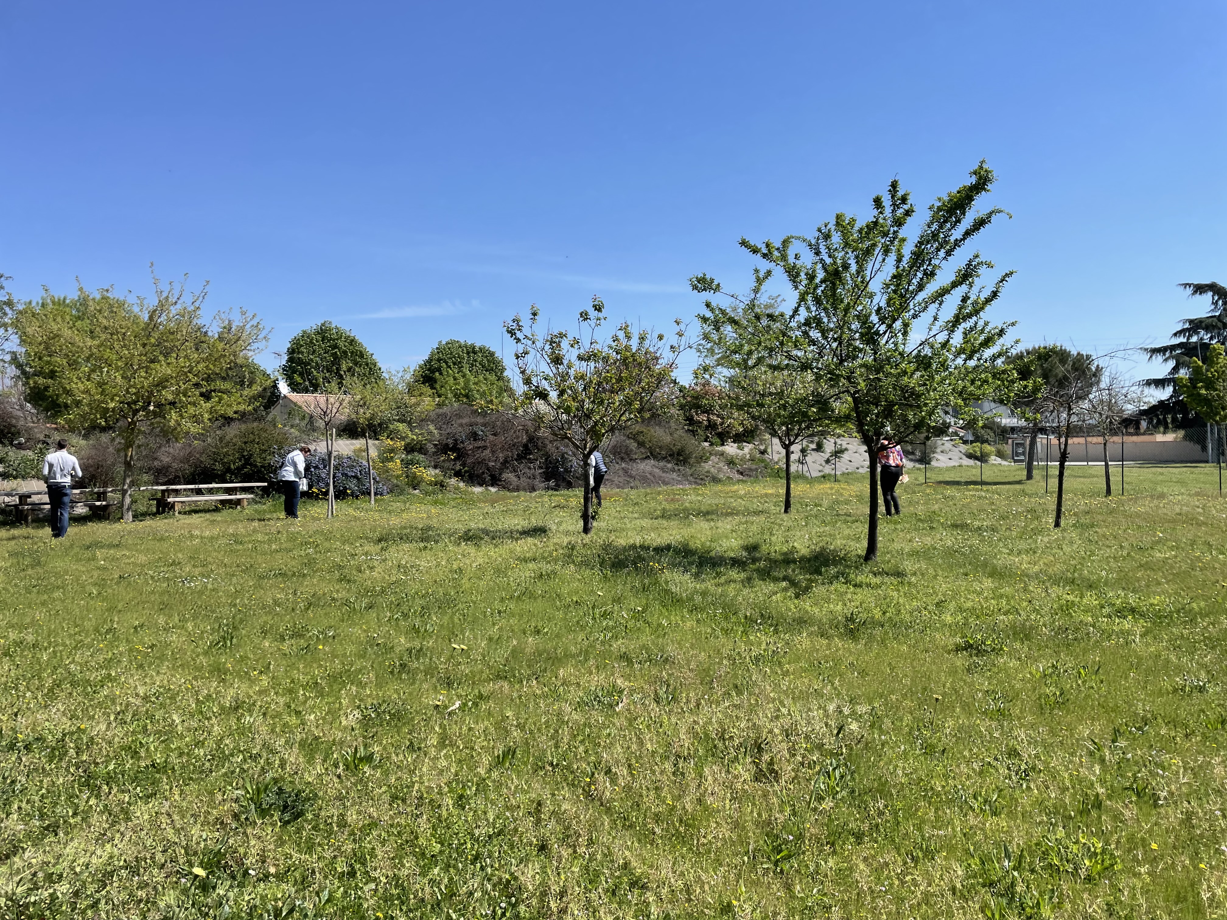 chasse aux oeufs 2023