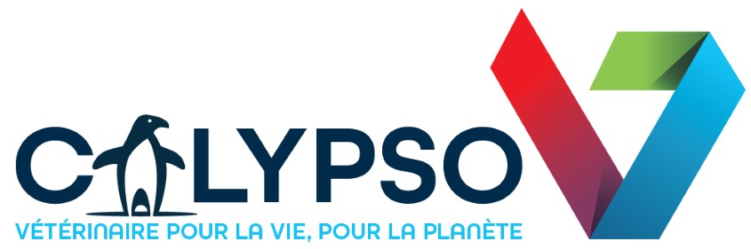 logo calypso complet