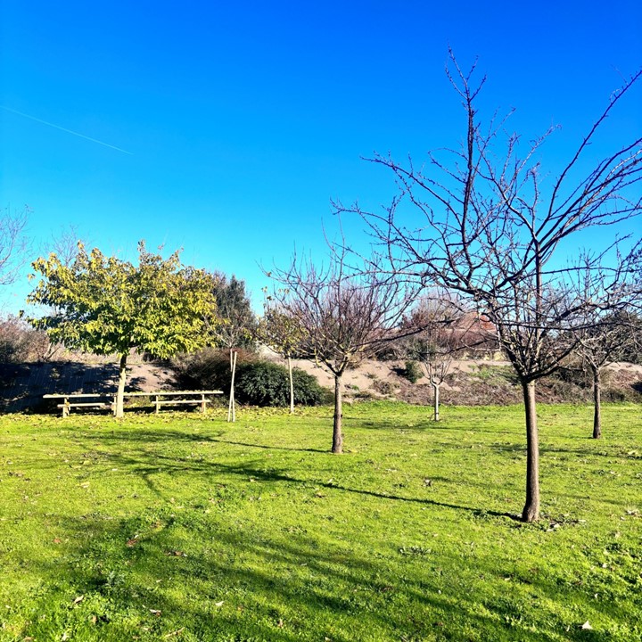 plantation à venir