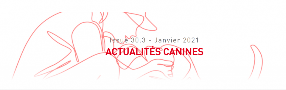 Veterinary Focus Royal Canin Humain Chien