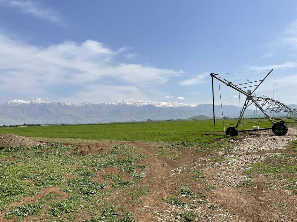 Montagnes Kurdistan