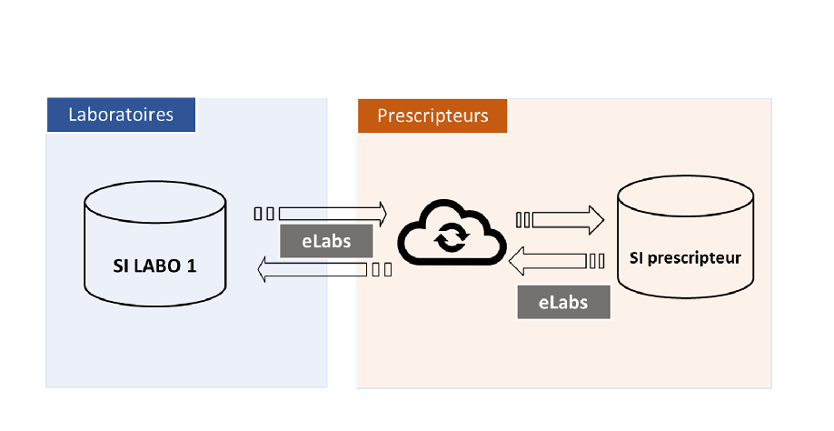 eLabs Schéma