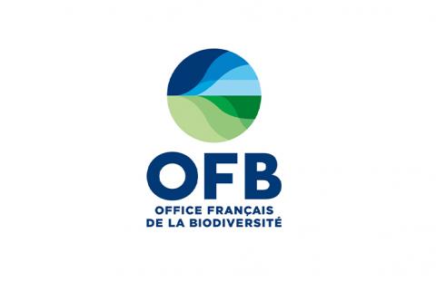 OFB logo