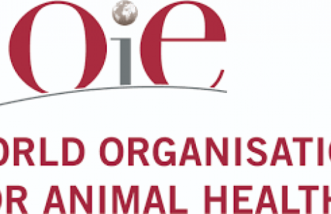 logo OIE