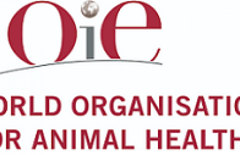 OIE english logo