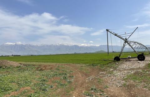 Montagnes Kurdistan