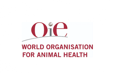 OIE english logo
