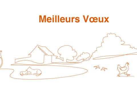 Voeux 2024