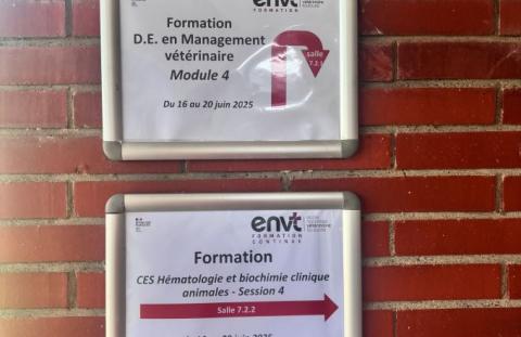 ENVT