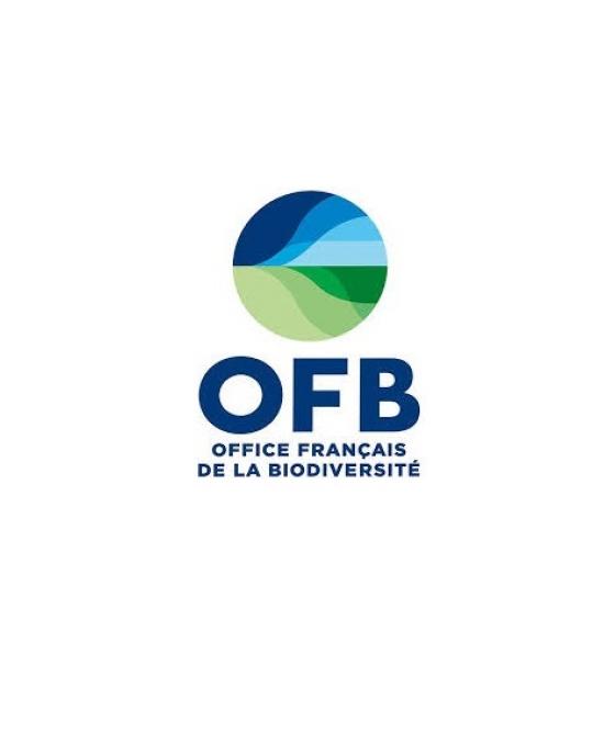 Logo OFB