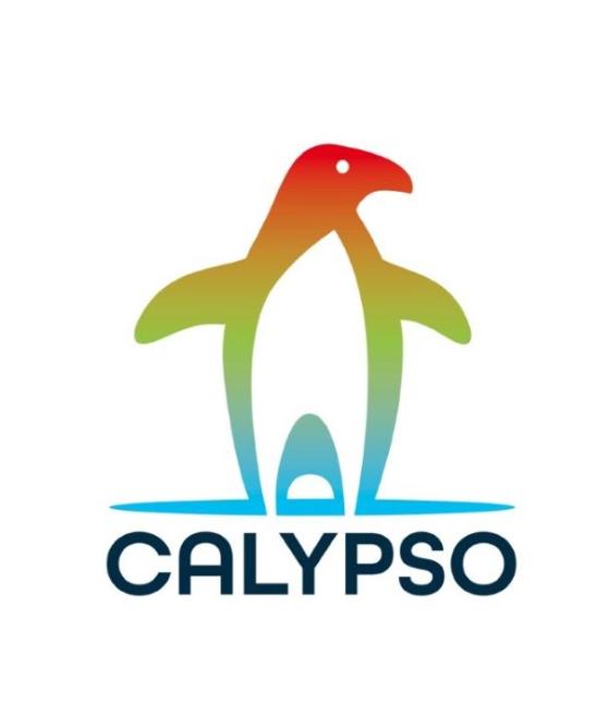 Logo calypso